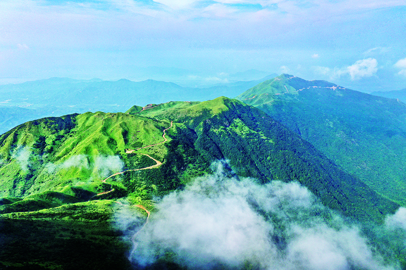 微信图片_20210816091728.jpg 微信图片_20210816091728.jpg