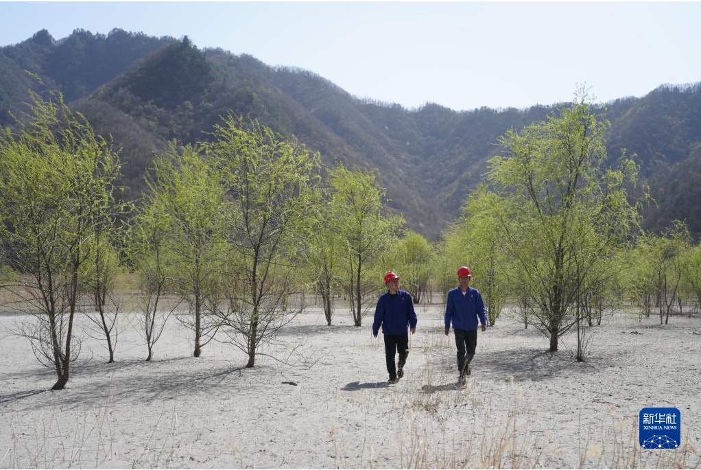 图片.png 图片.png