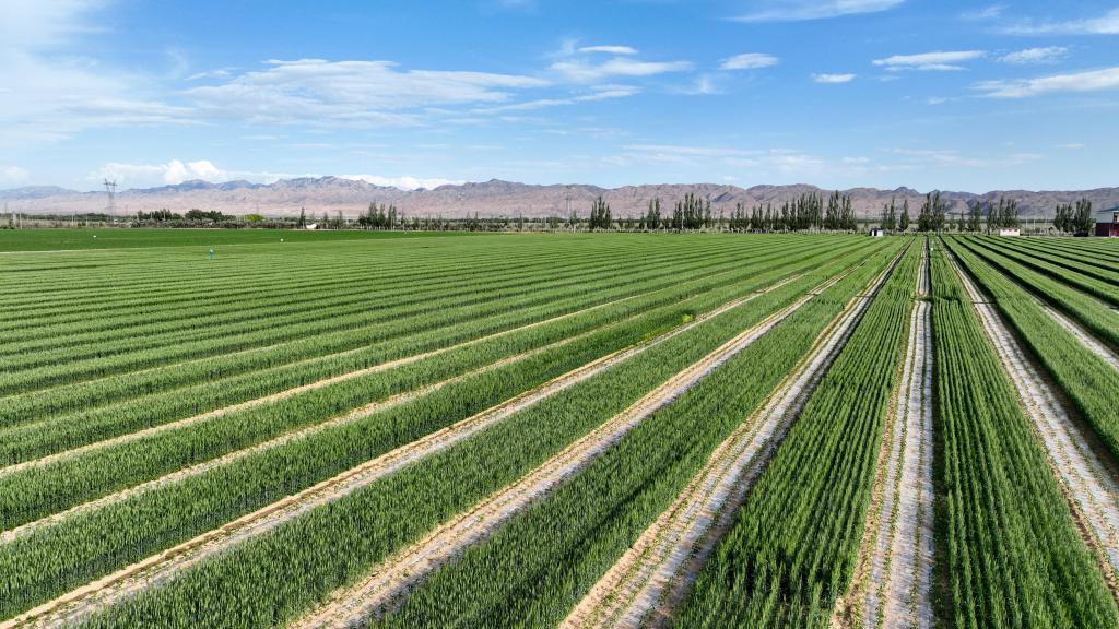 573758e34d9e6b32bdbe046e3fe4e892_1129683008_16863176945991n.jpg 573758e34d9e6b32bdbe046e3fe4e892_1129683008_16863176945991n.jpg